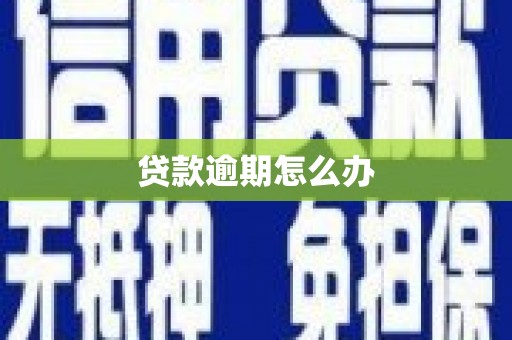 镇巴贷款逾期怎么办