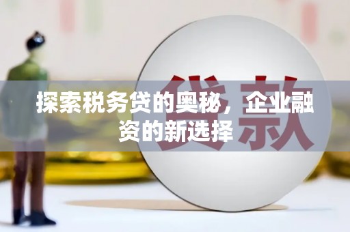 镇巴探索税务贷的奥秘，企业融资的新选择