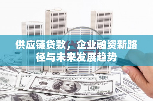 镇巴供应链贷款，企业融资新路径与未来发展趋势