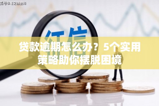 镇巴贷款逾期怎么办？5个实用策略助你摆脱困境