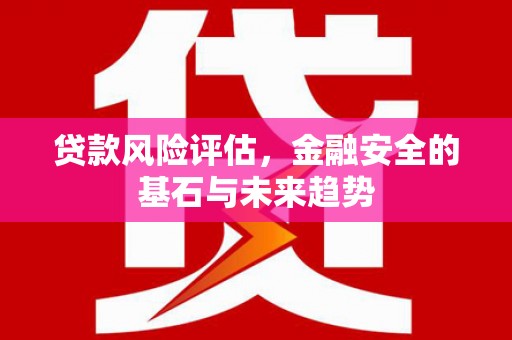 镇巴贷款风险评估，金融安全的基石与未来趋势