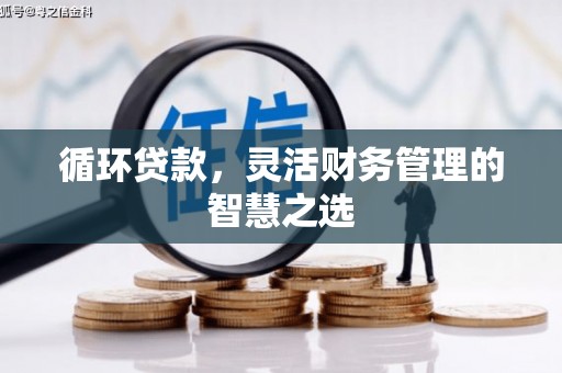 镇巴循环贷款，灵活财务管理的智慧之选