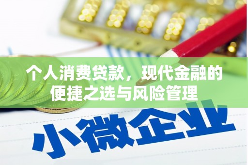 镇巴个人消费贷款，现代金融的便捷之选与风险管理
