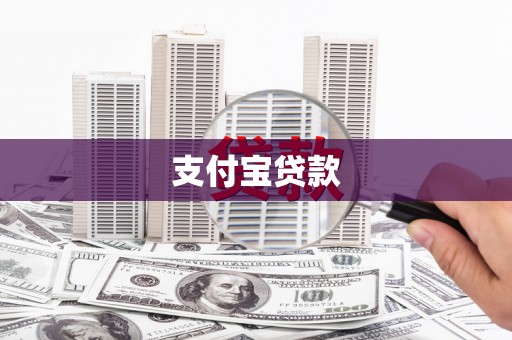 镇巴支付宝贷款