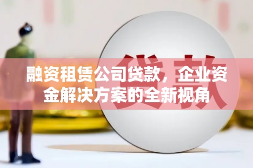 镇巴融资租赁公司贷款，企业资金解决方案的全新视角