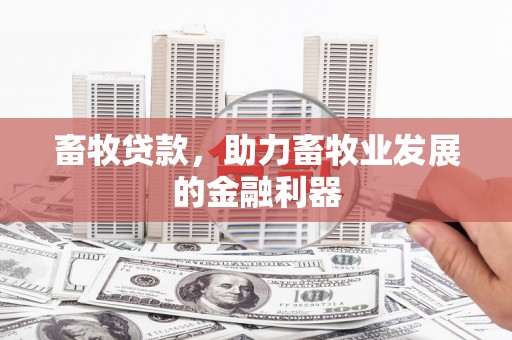 镇巴畜牧贷款，助力畜牧业发展的金融利器