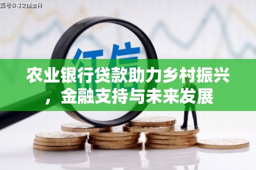 镇巴农业银行贷款助力乡村振兴，金融支持与未来发展