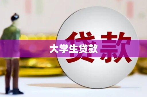 镇巴大学生贷款