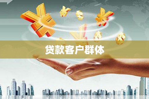 镇巴贷款客户群体