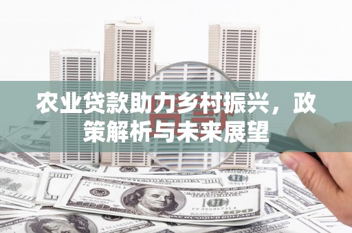 镇巴农业贷款助力乡村振兴，政策解析与未来展望