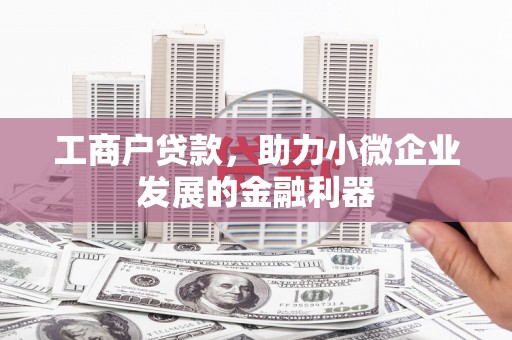 镇巴工商户贷款，助力小微企业发展的金融利器