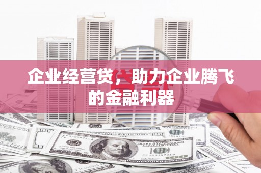 镇巴企业经营贷，助力企业腾飞的金融利器