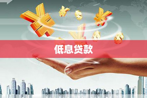 镇巴低息贷款
