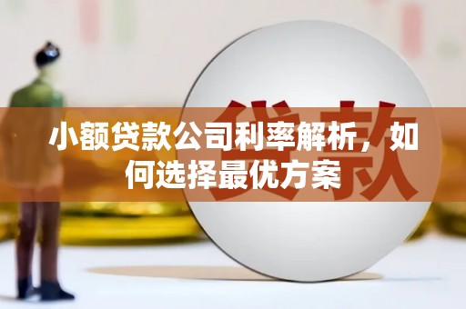 镇巴小额贷款公司利率解析，如何选择最优方案