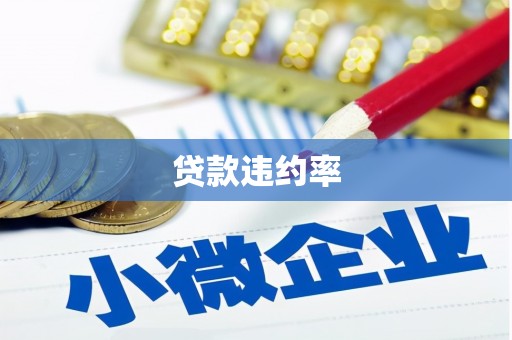 镇巴贷款违约率
