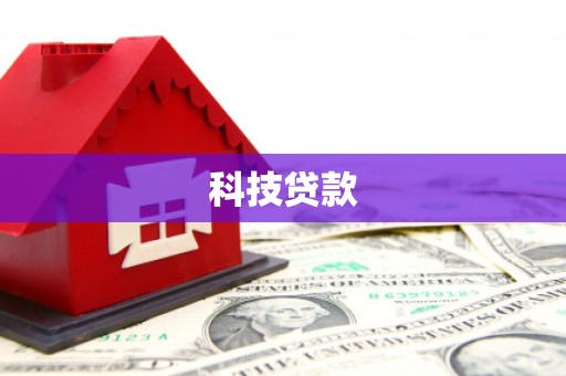 镇巴科技贷款