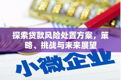 镇巴探索贷款风险处置方案，策略、挑战与未来展望