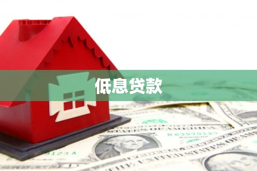 镇巴低息贷款