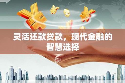 镇巴灵活还款贷款，现代金融的智慧选择