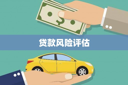 镇巴贷款风险评估