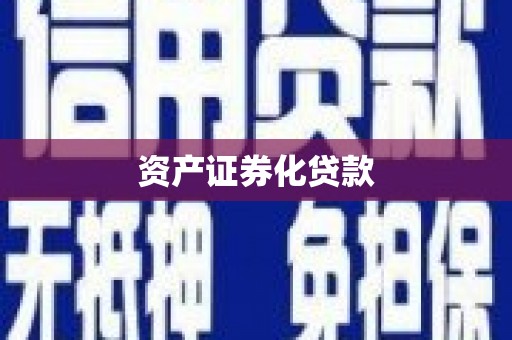 镇巴资产证券化贷款