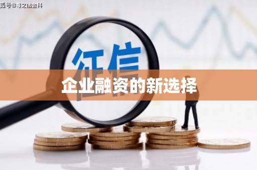 镇巴企业融资的新选择