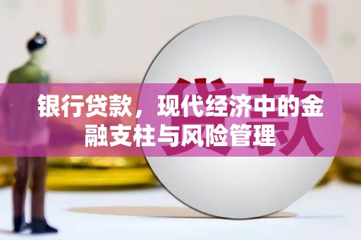 镇巴银行贷款，现代经济中的金融支柱与风险管理