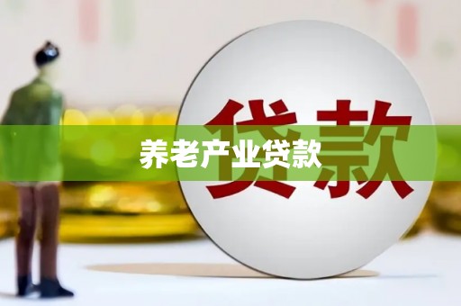 镇巴养老产业贷款
