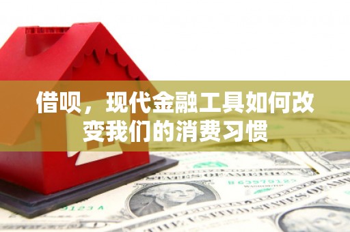 镇巴借呗，现代金融工具如何改变我们的消费习惯