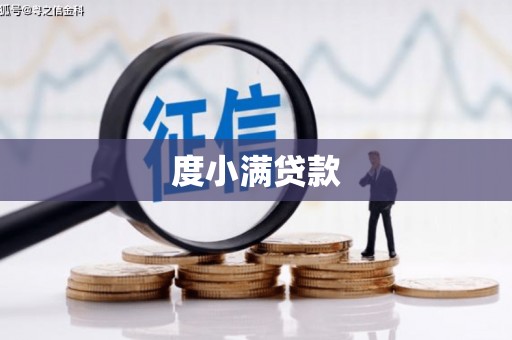 镇巴度小满贷款