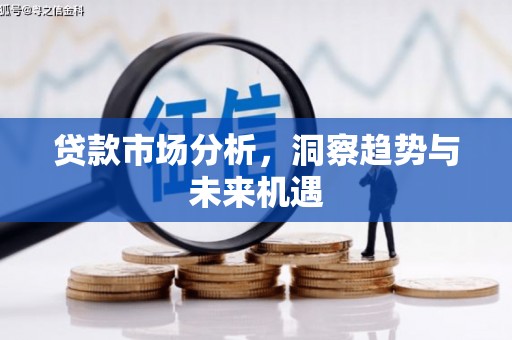镇巴贷款市场分析，洞察趋势与未来机遇