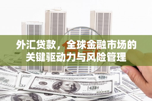 镇巴外汇贷款，全球金融市场的关键驱动力与风险管理