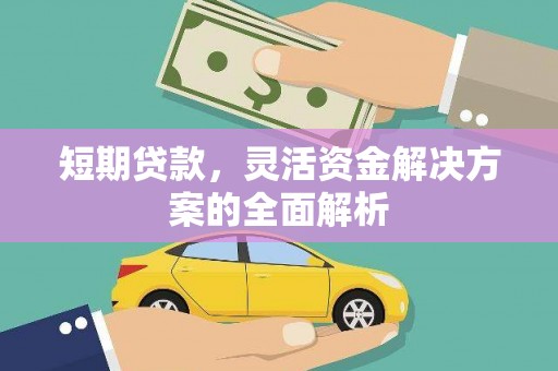 镇巴短期贷款，灵活资金解决方案的全面解析
