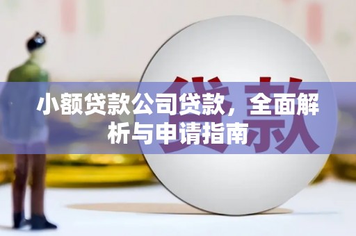 镇巴小额贷款公司贷款，全面解析与申请指南