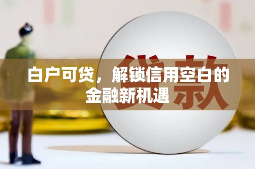 镇巴白户可贷，解锁信用空白的金融新机遇