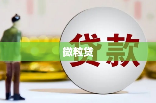 镇巴微粒贷
