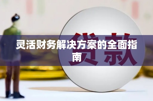 镇巴灵活财务解决方案的全面指南