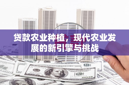 镇巴贷款农业种植，现代农业发展的新引擎与挑战