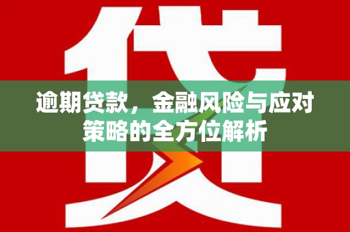 镇巴逾期贷款，金融风险与应对策略的全方位解析
