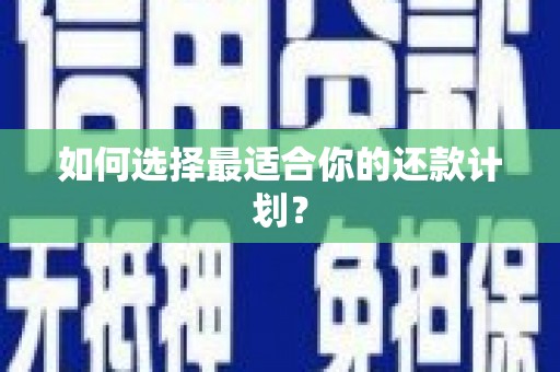 镇巴如何选择最适合你的还款计划？