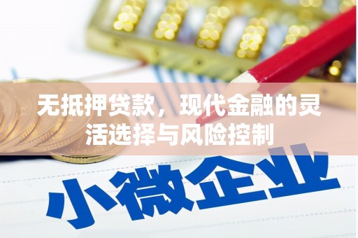 镇巴无抵押贷款，现代金融的灵活选择与风险控制
