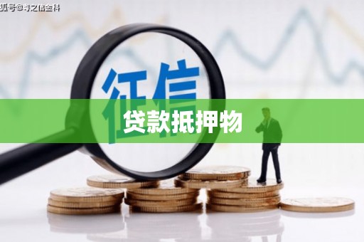 镇巴贷款抵押物