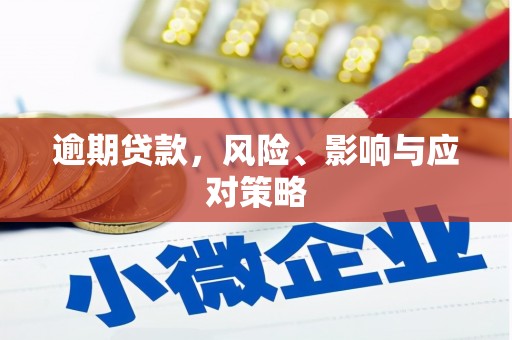 镇巴逾期贷款，风险、影响与应对策略