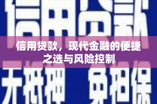 镇巴信用贷款，现代金融的便捷之选与风险控制