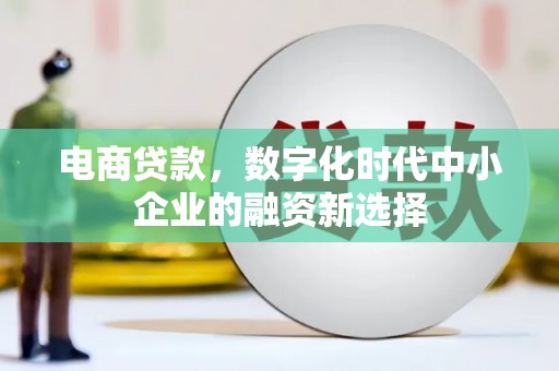 镇巴电商贷款，数字化时代中小企业的融资新选择