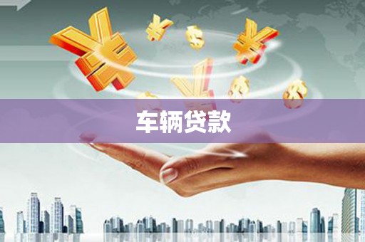 镇巴车辆贷款