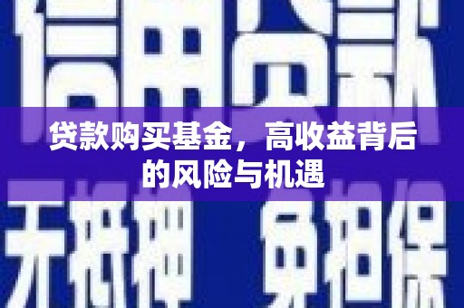 镇巴贷款购买基金，高收益背后的风险与机遇