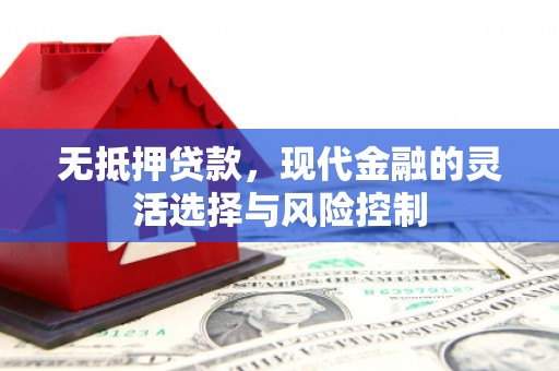 镇巴无抵押贷款，现代金融的灵活选择与风险控制