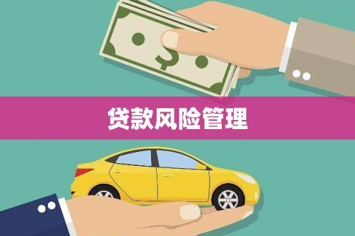镇巴贷款风险管理