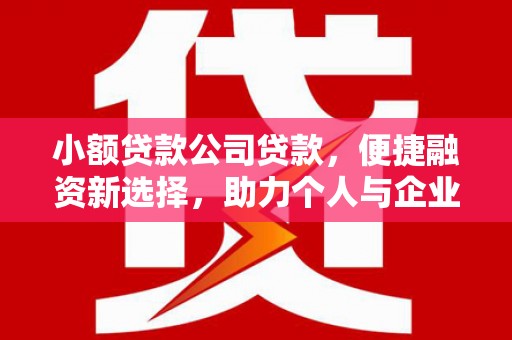 镇巴小额贷款公司贷款，便捷融资新选择，助力个人与企业成长